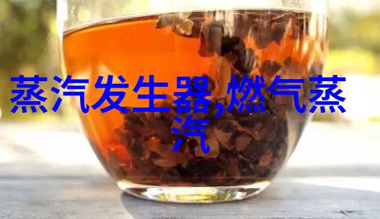 燃气锅炉腐蚀的主要因素