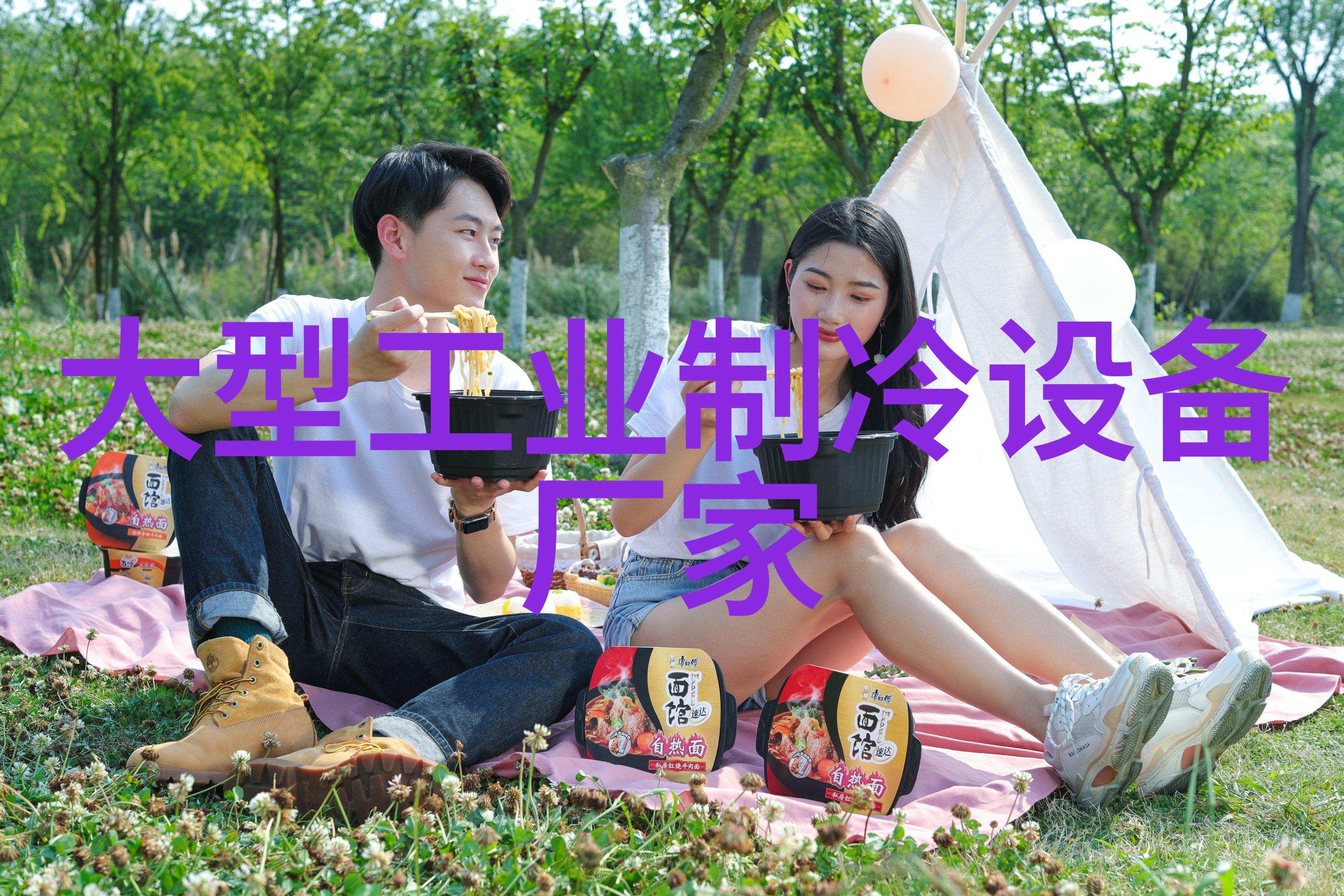 DXD-SK4808001080全自动三边封多列(DXD-SK4808001