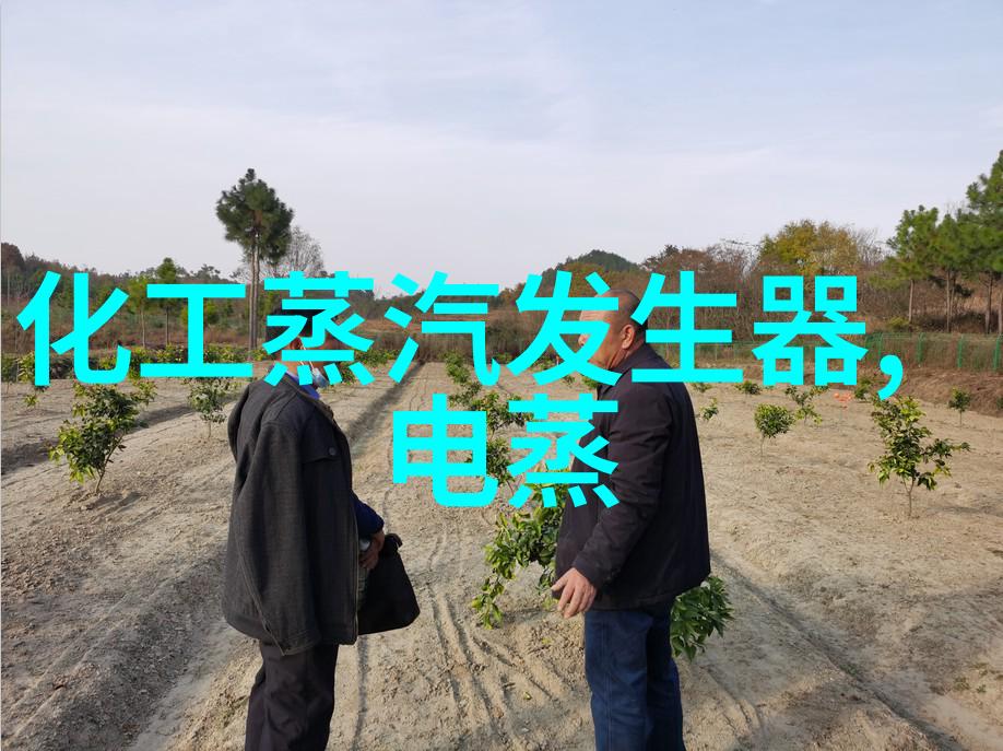 10T智能模块蒸汽发生器