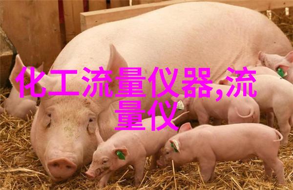 YTA70温度变送器